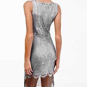 NWOT! Silver Fringe Dress